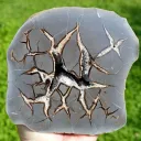 Septaria & Calcite 2790 grams - Crêt Chalam, Chézery-Forens, Arrondissement of Gex, Ain, France - image 1