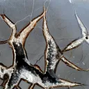 Septaria & Calcite 2790 grams - Crêt Chalam, Chézery-Forens, Arrondissement of Gex, Ain, France - image 2