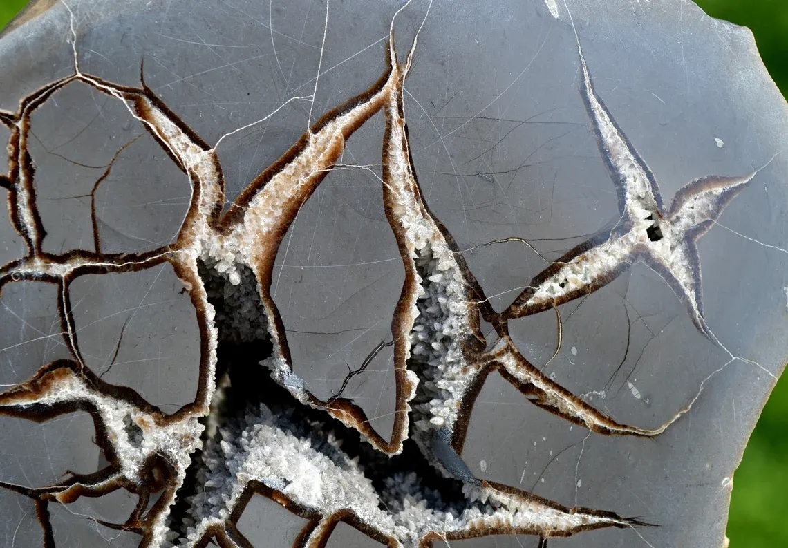 Septaria & Calcite 2790 grams - Crêt Chalam, Chézery-Forens, Arrondissement of Gex, Ain, France - image 2