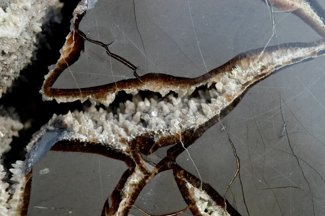 Septaria & Calcite 2790 grams - Crêt Chalam, Chézery-Forens, Arrondissement of Gex, Ain, France - image 6