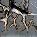 Septaria & Calcite 2790 grams - Crêt Chalam, Chézery-Forens, Arrondissement of Gex, Ain, France - image 3