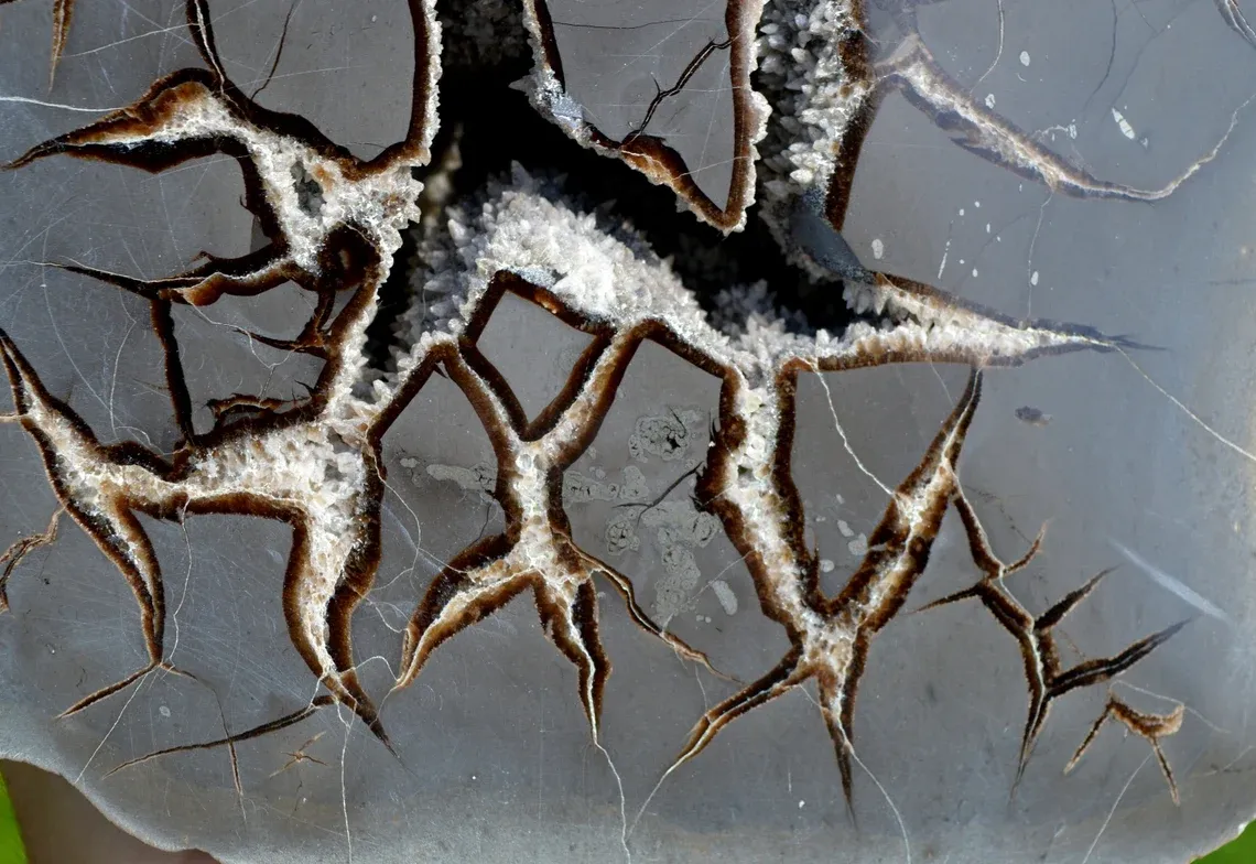 Septaria & Calcite 2790 grams - Crêt Chalam, Chézery-Forens, Arrondissement of Gex, Ain, France - image 3