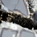 Septaria & Calcite 2790 grams - Crêt Chalam, Chézery-Forens, Arrondissement of Gex, Ain, France - image 5