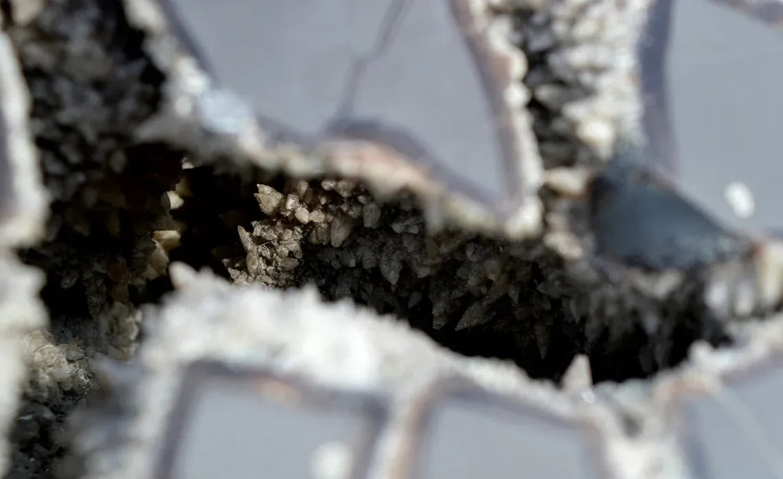 Septaria & Calcite 2790 grams - Crêt Chalam, Chézery-Forens, Arrondissement of Gex, Ain, France - image 5