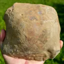 Septaria & Calcite 2790 grams - Crêt Chalam, Chézery-Forens, Arrondissement of Gex, Ain, France - image 8