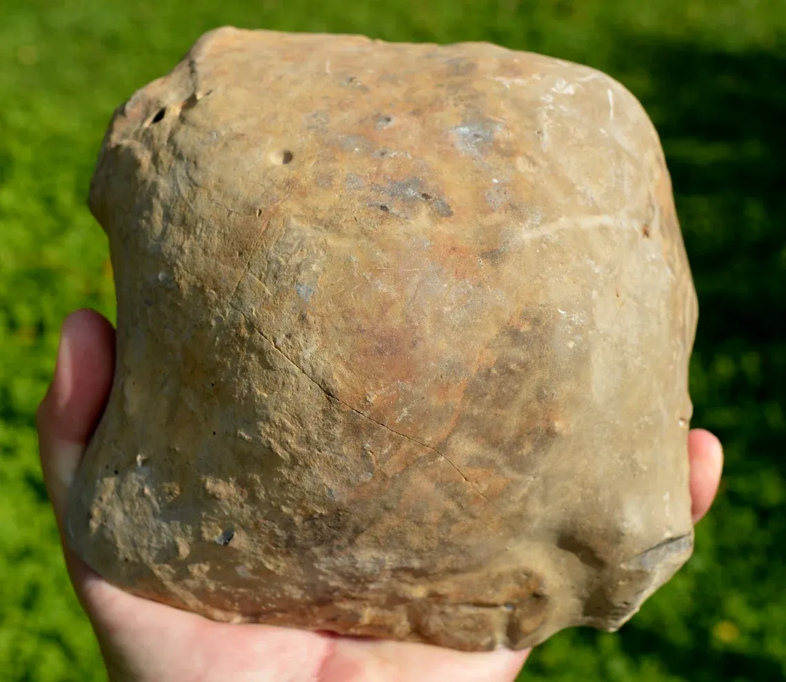 Septaria & Calcite 2790 grams - Crêt Chalam, Chézery-Forens, Arrondissement of Gex, Ain, France - image 8
