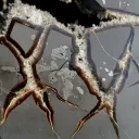 Septaria & Calcite 2790 grams - Crêt Chalam, Chézery-Forens, Arrondissement of Gex, Ain, France - image 7