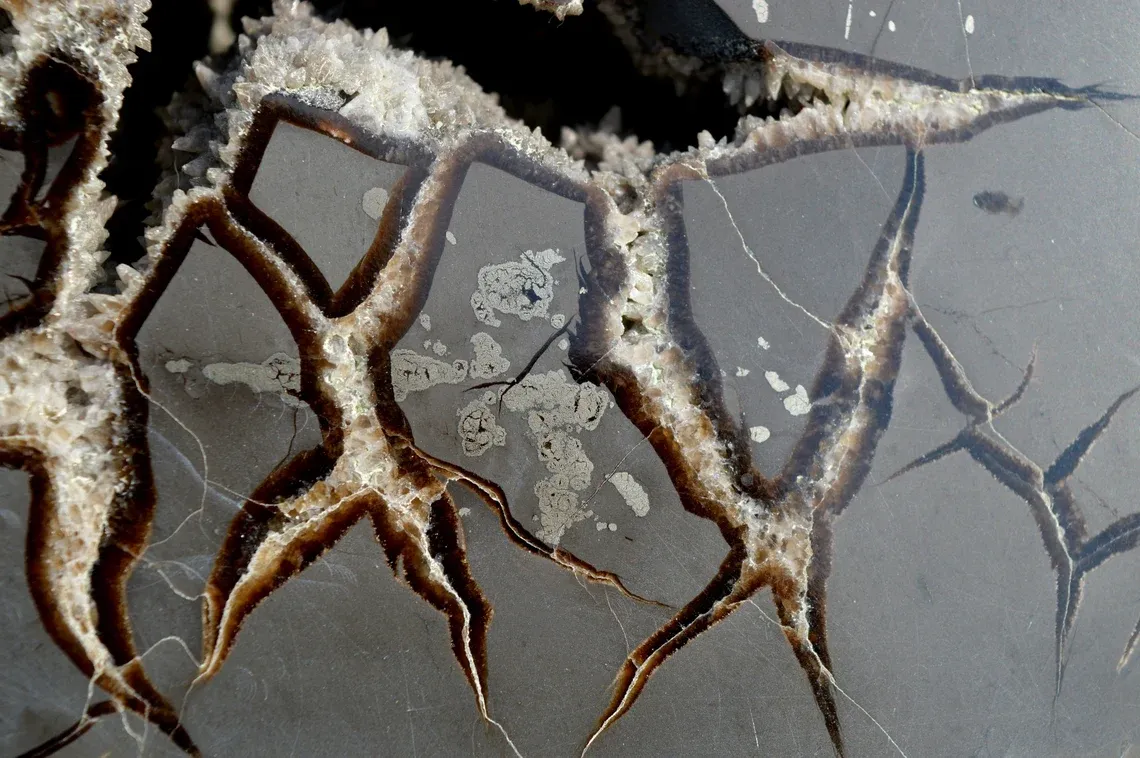 Septaria & Calcite 2790 grams - Crêt Chalam, Chézery-Forens, Arrondissement of Gex, Ain, France - image 7