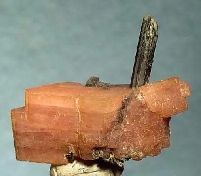 Serandite, Aegirine - image 1