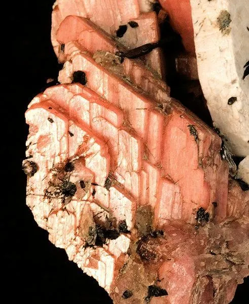 Serandite, Albite, Aegirine, Leucophanite - image 2