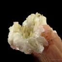 Serandite, Analcime, Polylithionite (Fl), Aegirine, and Unknown (Fl) - image 3