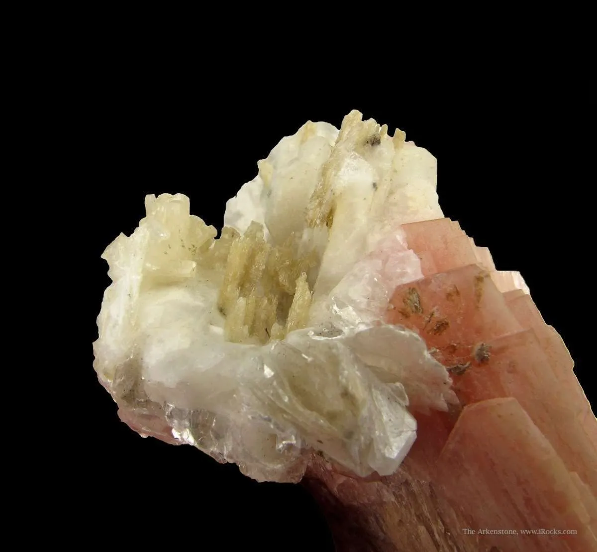 Serandite, Analcime, Polylithionite (Fl), Aegirine, and Unknown (Fl) - image 3