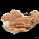 Serandite, Analcime, Polylithionite (Fl), Aegirine, and Unknown (Fl) - image 1