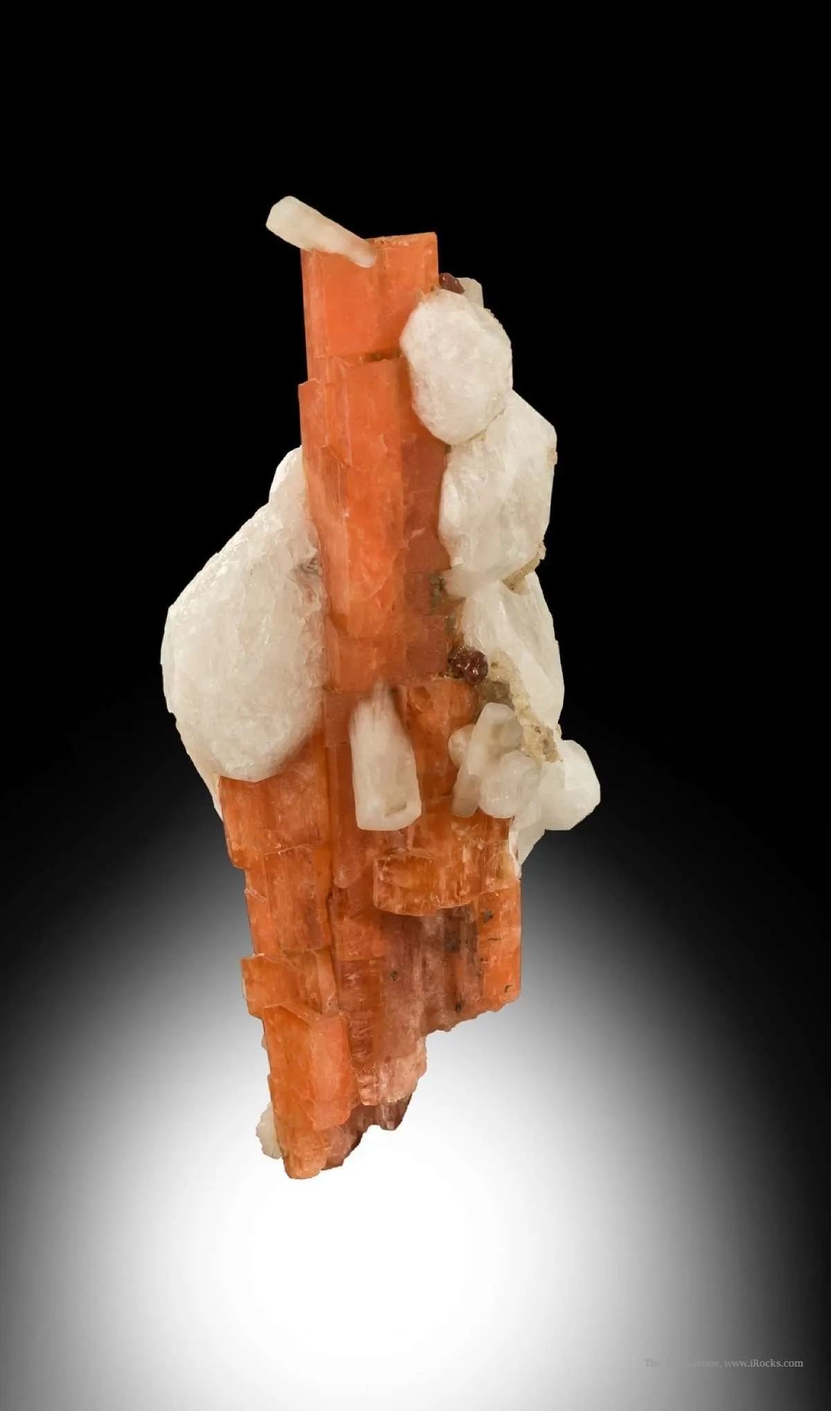 Serandite and Analcime With Natrolite - image 3