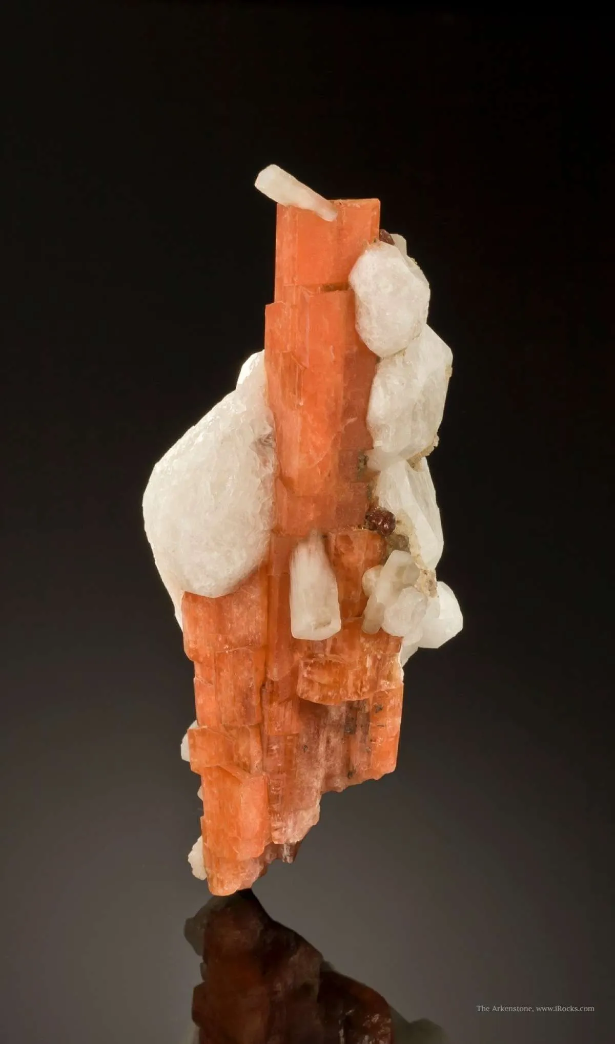 Serandite and Analcime With Natrolite - image 2