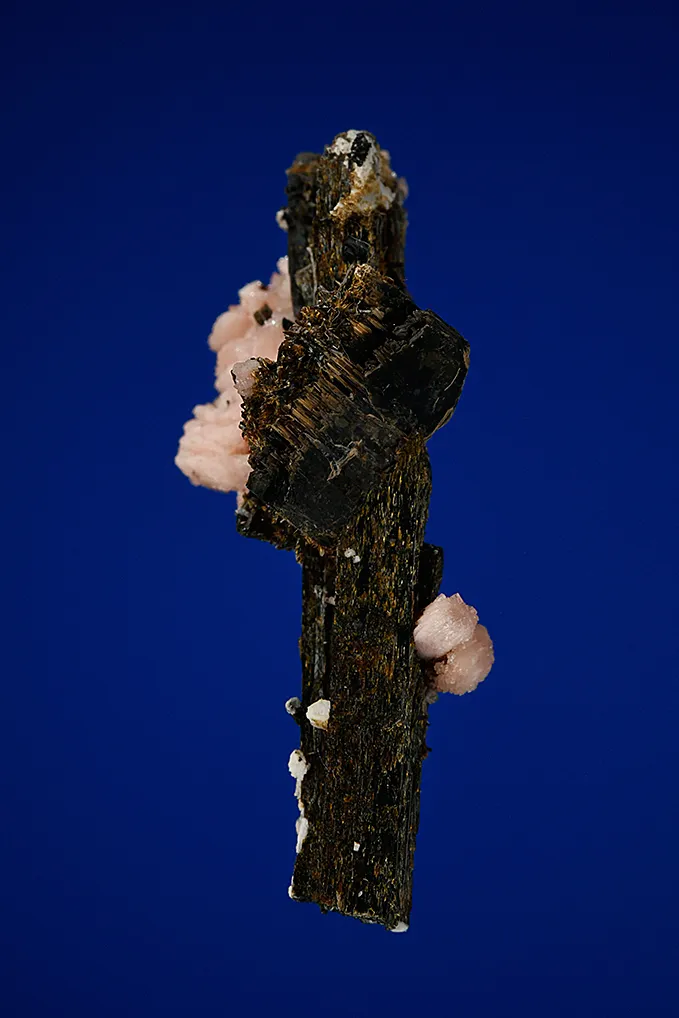 Serandite and Astrophyllite on Aegirine - image 2