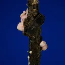 Serandite and Astrophyllite on Aegirine - image 2