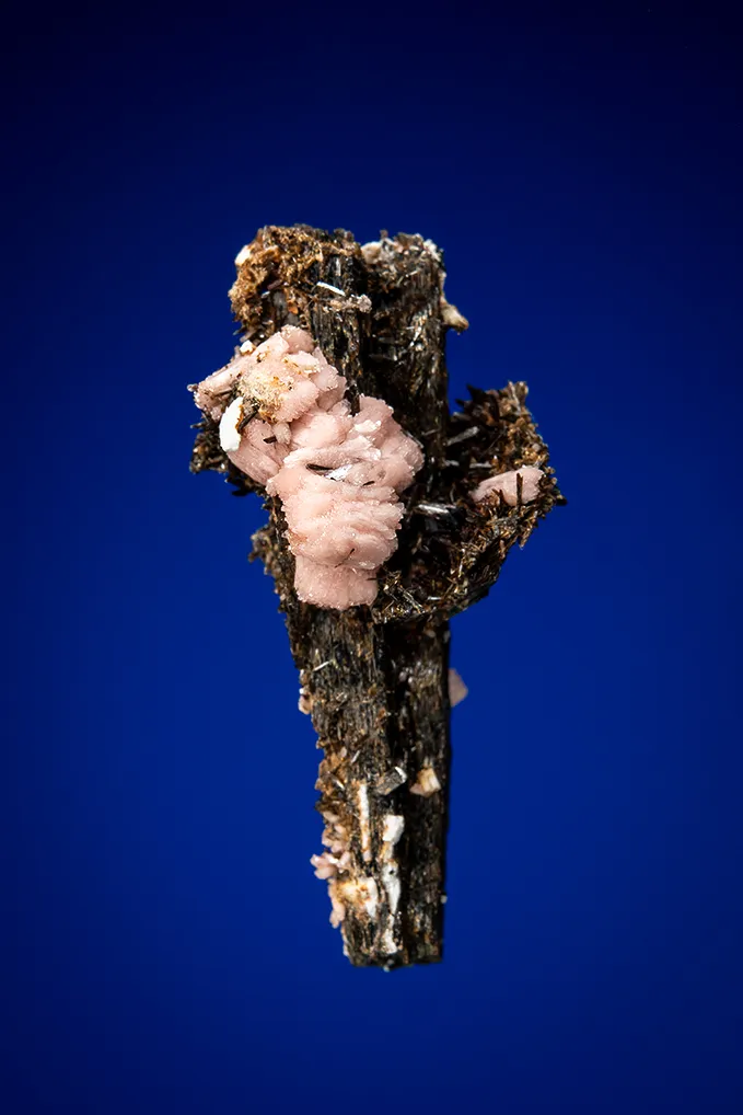 Serandite and Astrophyllite on Aegirine image