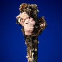 Serandite and Astrophyllite on Aegirine - image 1