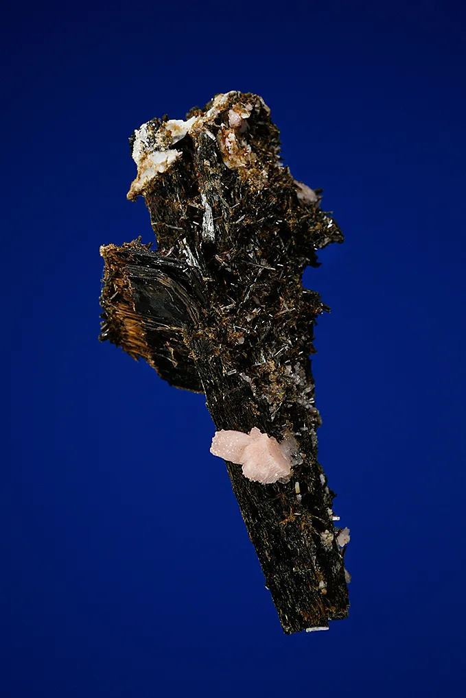 Serandite and Astrophyllite on Aegirine - image 3