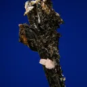 Serandite and Astrophyllite on Aegirine - image 3