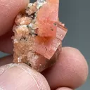 Serandite from Poudrette Quarry - image 2