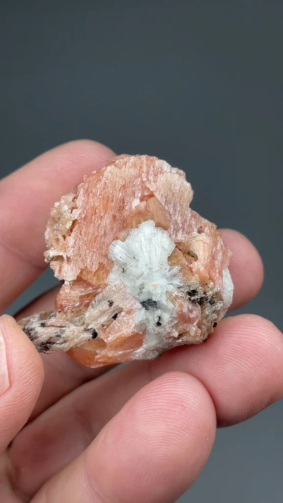 Serandite from Poudrette Quarry, Mont Saint-Hilaire, Québec, Canada - image 2