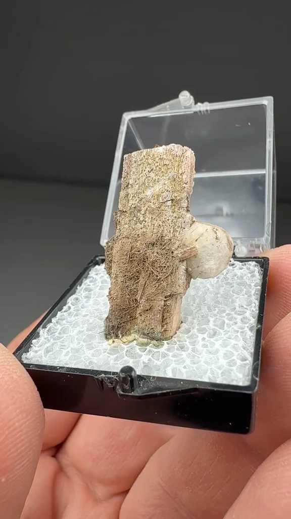 Serandite from Poudrette Quarry, Mont Saint-Hilaire, Québec, Canada - image 2