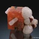 Serandite, Natrolite, Aegerine, and Rhodochrosite - image 1