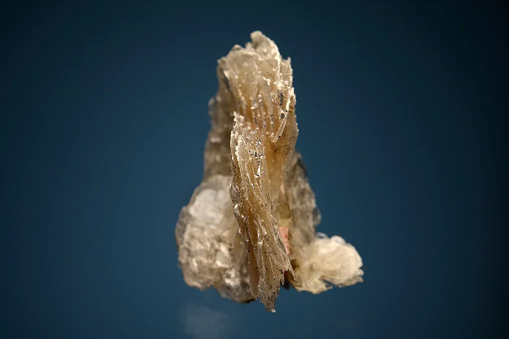Serandite on Polylithionite - image 4