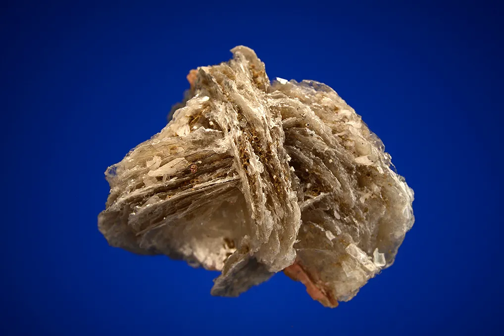 Serandite on Polylithionite - image 3
