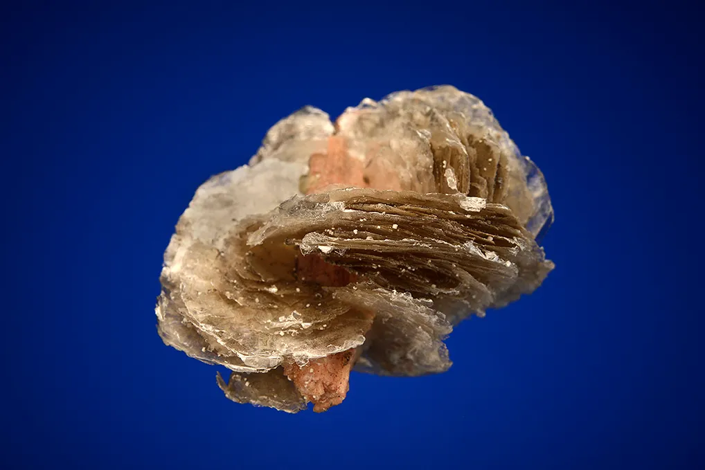 Serandite on Polylithionite - image 4