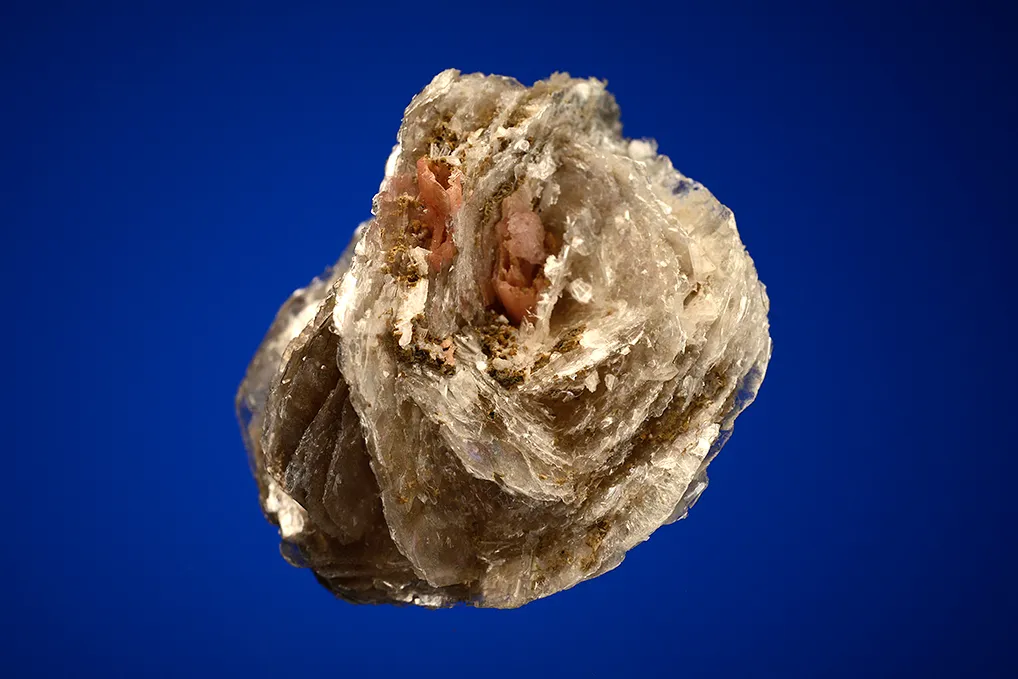 Serandite on Polylithionite - image 2