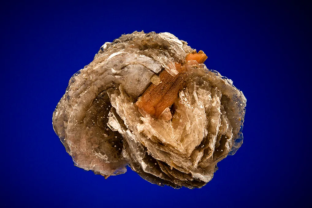 Serandite on Polylithionite image