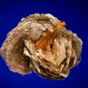 Serandite on Polylithionite - image 1