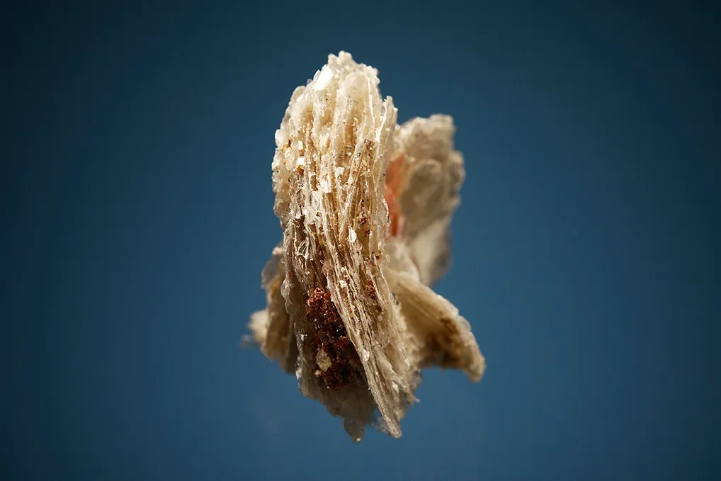 Serandite on Polylithionite - image 2