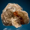 Serandite on Polylithionite - image 1