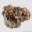 Serandite with Aegerine, Feldspar, and Muscovite - image 3