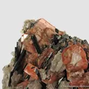 Serandite with Aegerine, Feldspar, and Muscovite - image 6