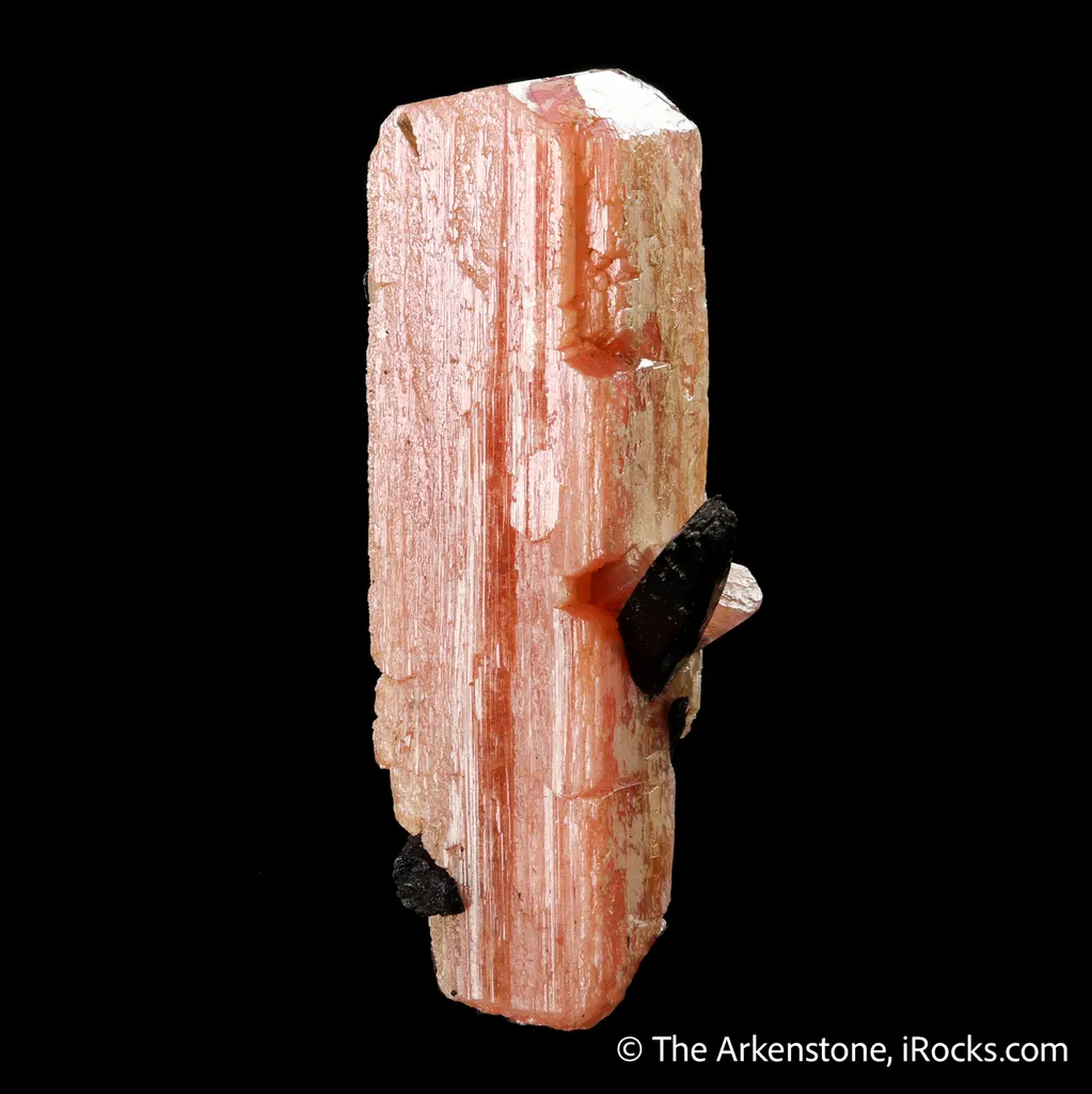 Serandite with Aegirine - image 3