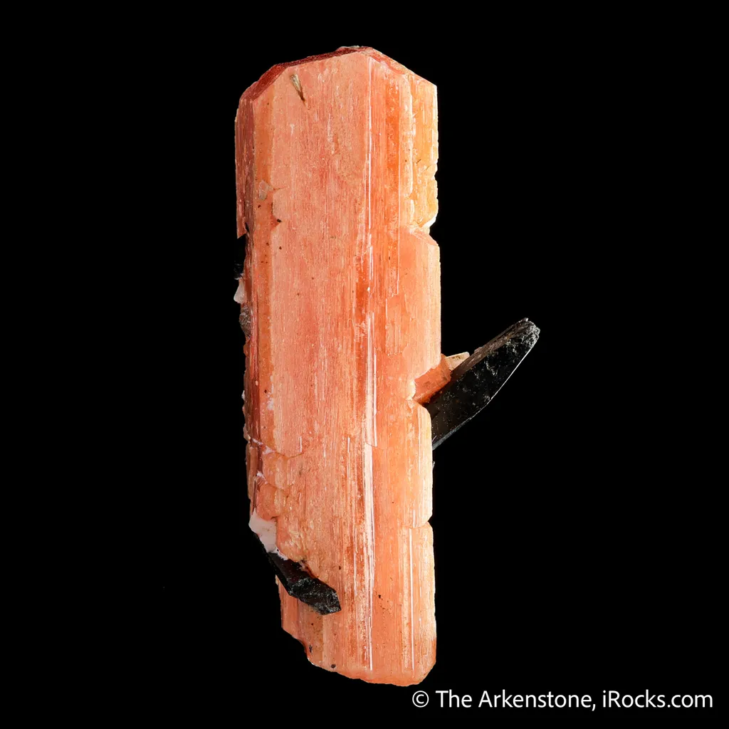 Serandite with Aegirine - image 4