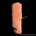 Serandite with Aegirine - image 4