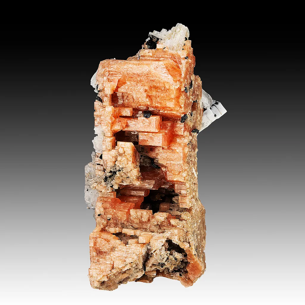 Serandite with Aegirine, Feldspar image