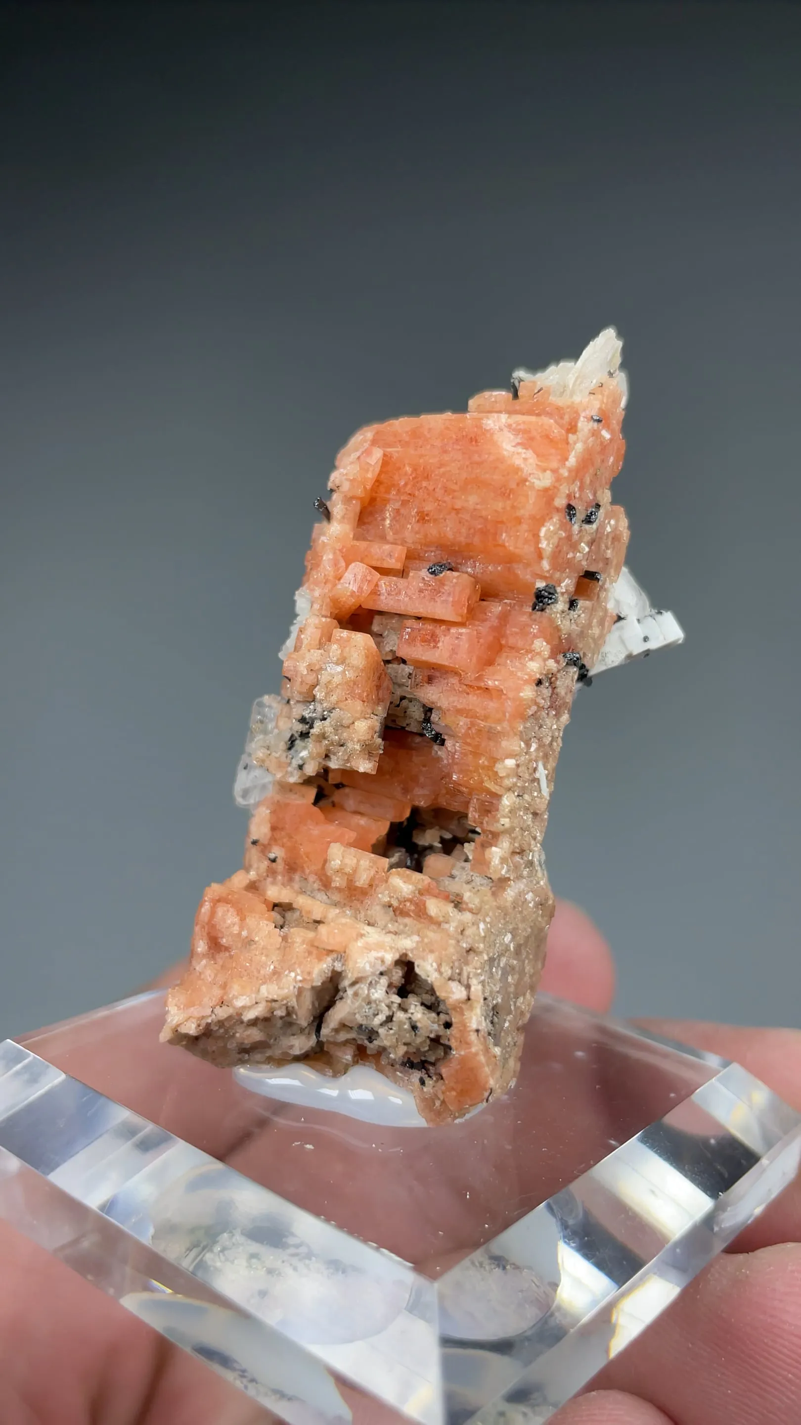 Serandite with Aegirine, Feldspar - image 2