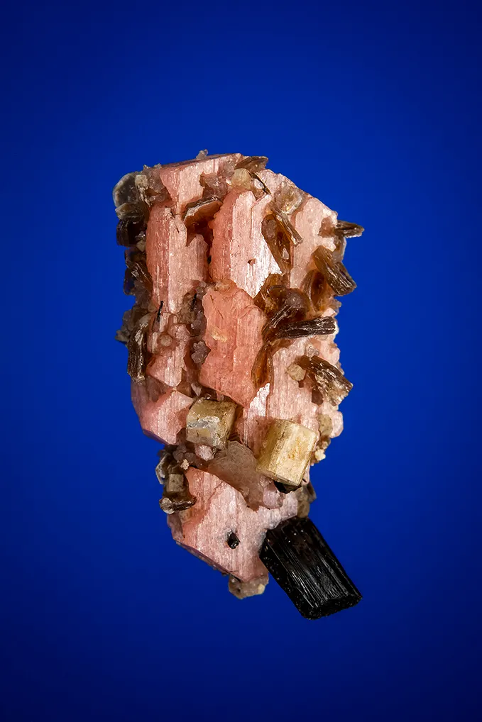 Serandite with Aegirine, Leucophanite and Polylithionite image