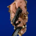 Serandite with Aegirine, Leucophanite and Polylithionite - image 2