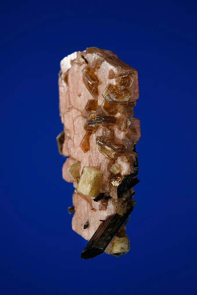 Serandite with Aegirine, Leucophanite and Polylithionite - image 4