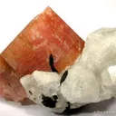 Serandite With Analcime and Aegirine - image 1