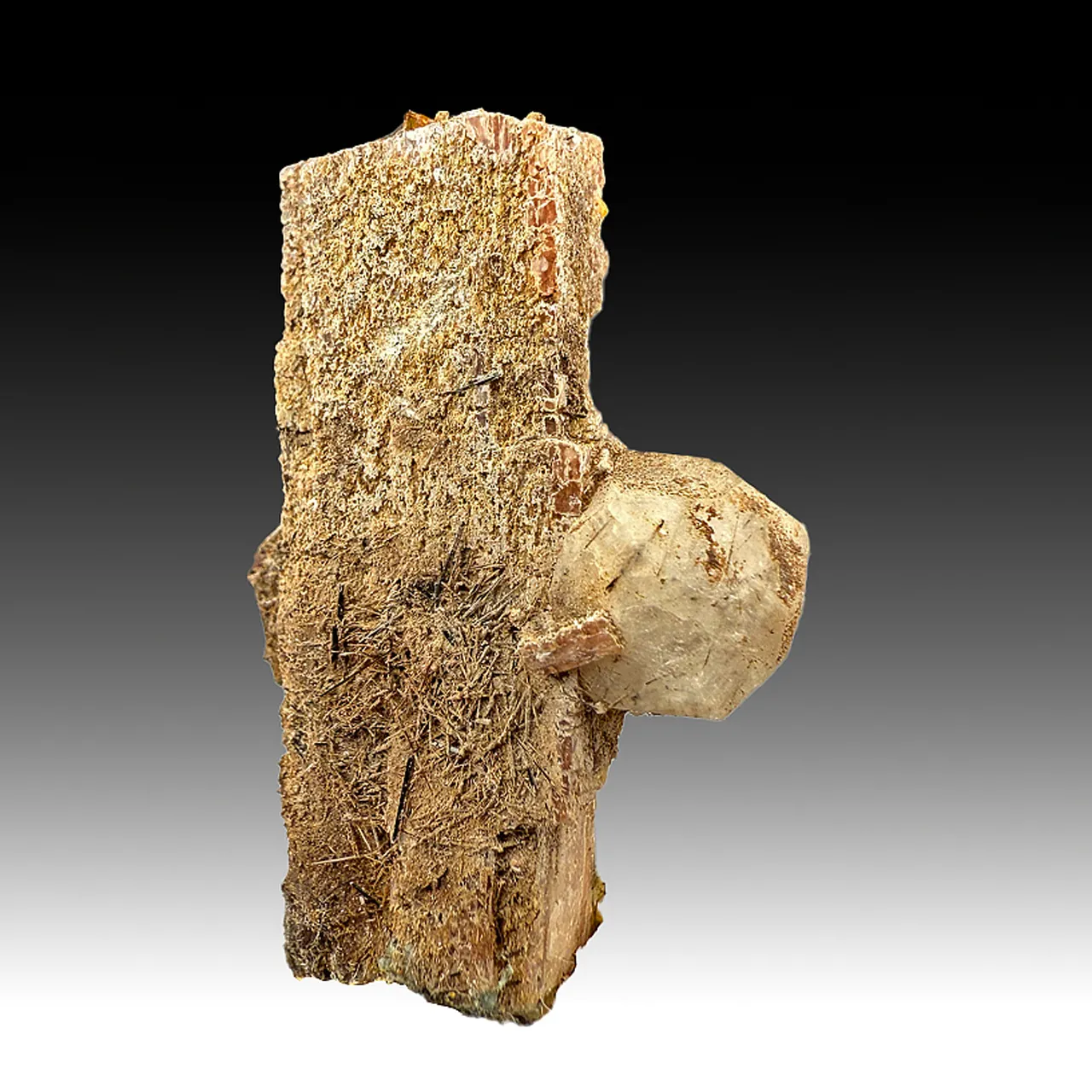 Serandite with Analcime - image 1