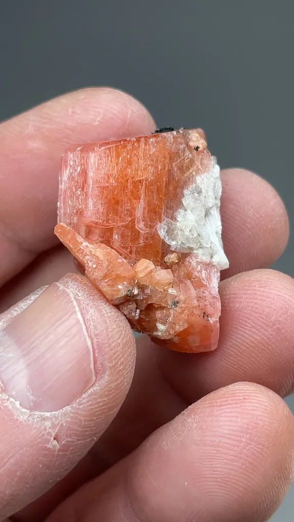 Serandite with Leifite - image 2